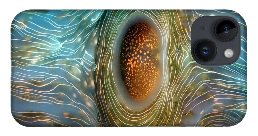 Abstract iPhone 14 Case featuring the photograph Abstract clam by Artesub