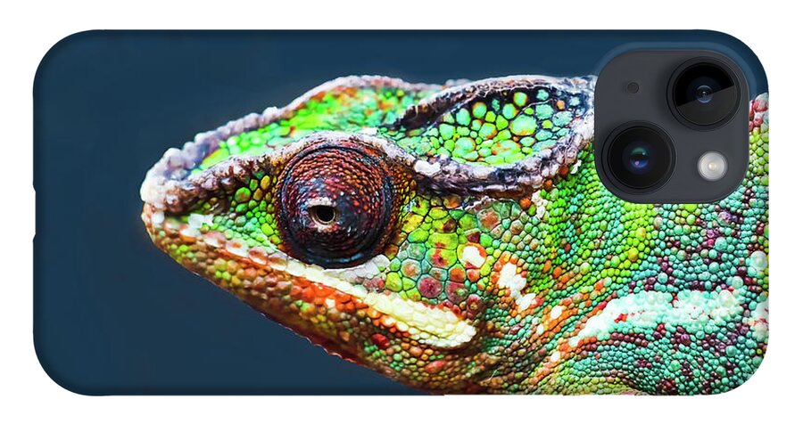 African Chameleon iPhone 14 Case featuring the photograph African Chameleon by Richard Goldman