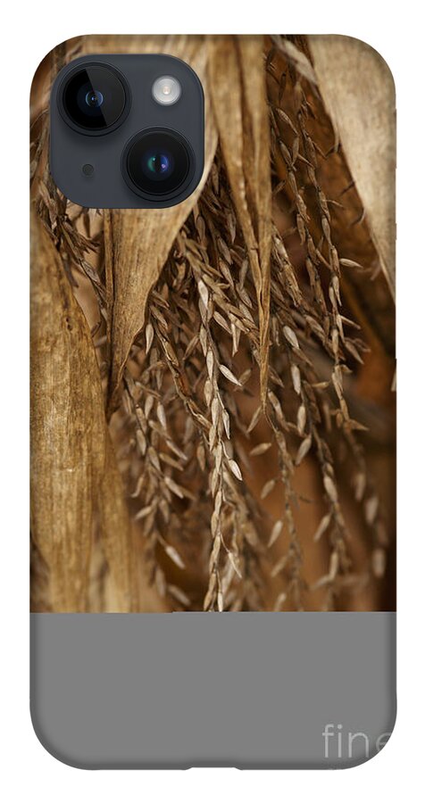 Corn iPhone 14 Case featuring the photograph After The Harvest - 2 by Linda Shafer