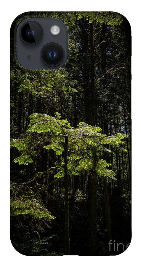 Green iPhone 14 Case featuring the photograph Aglow by David Hillier