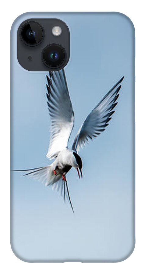 Aha A Fish iPhone Case featuring the photograph Aha a fish by Torbjorn Swenelius