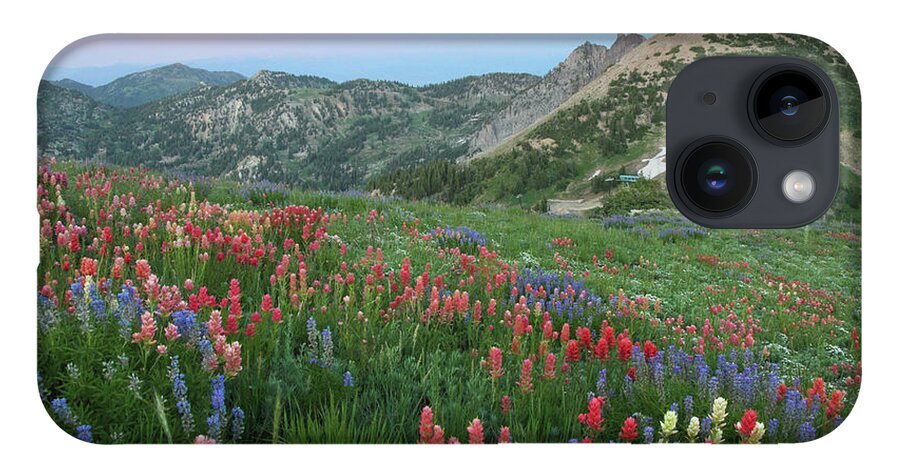 Landscape iPhone 14 Case featuring the photograph Alpine Wildflowers and View at Sunset by Brett Pelletier