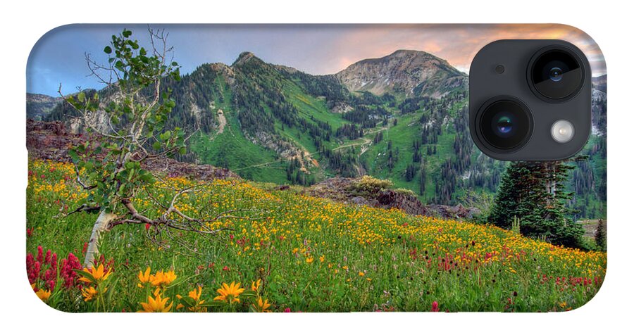 Wildflower iPhone Case featuring the photograph Alta Wildflowers and Sunset by Brett Pelletier
