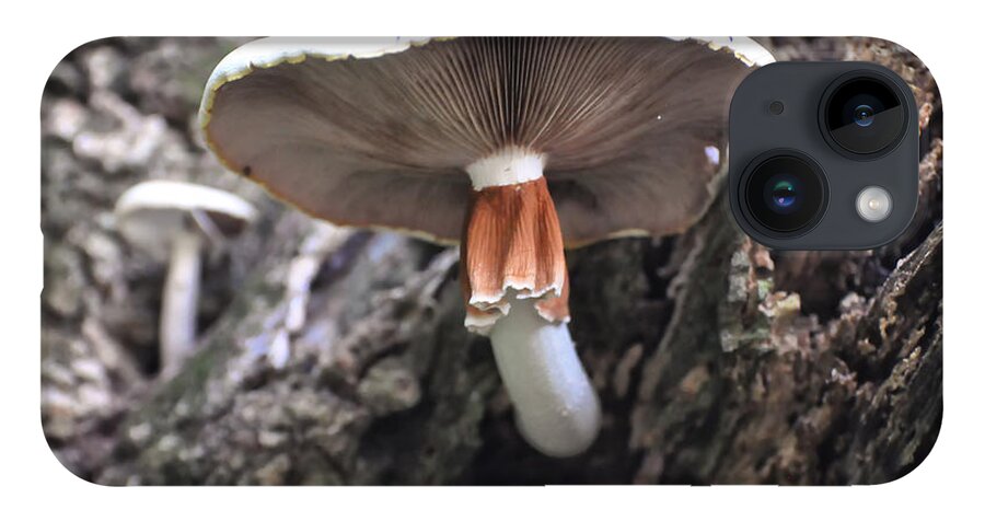 White Mushroom iPhone 14 Case featuring the photograph Amanita by Flees Photos