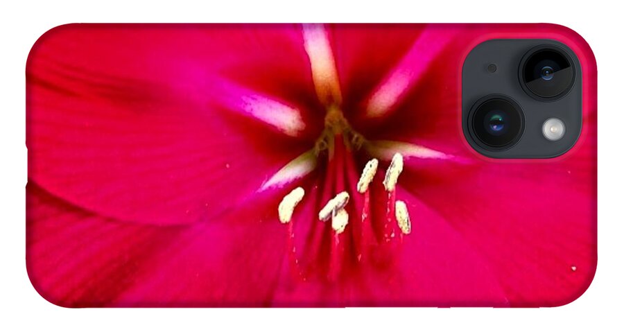 Flower iPhone 14 Case featuring the photograph Amaryllis Detail by Denise Railey