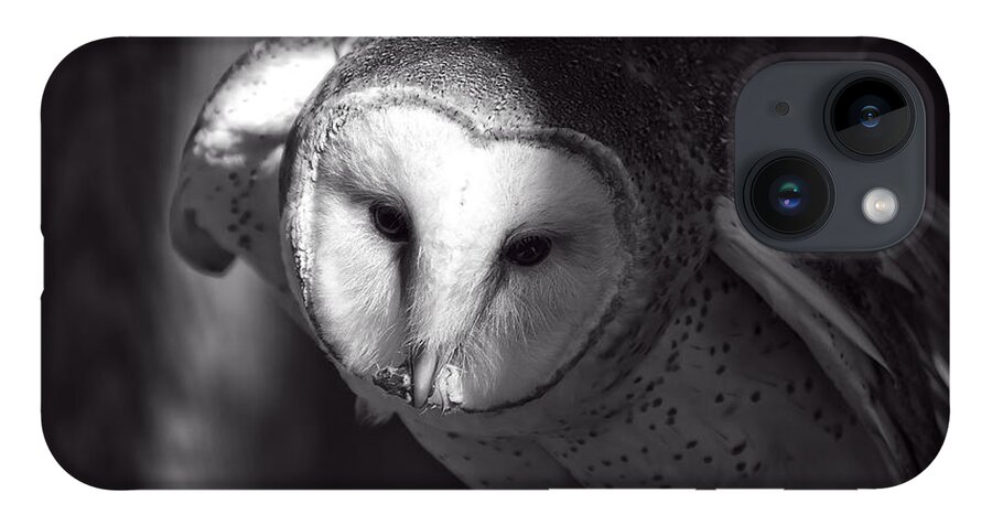 Barn Owl iPhone 14 Case featuring the photograph American Barn Owl Monochrome by Flees Photos
