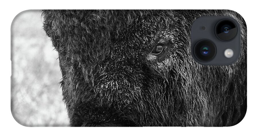 Bison iPhone 14 Case featuring the photograph American Bison Closeup in Black and White by Tony Hake