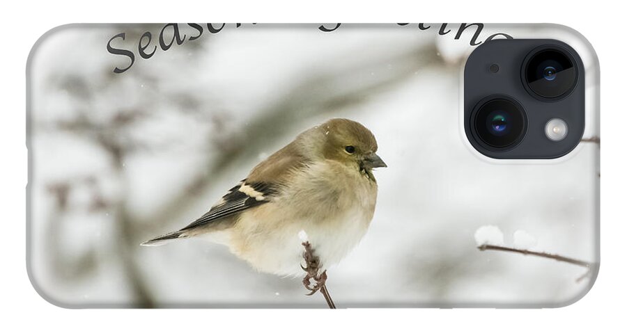 American Goldfinch iPhone 14 Case featuring the photograph American Goldfinch - Season's Greetings by Holden The Moment