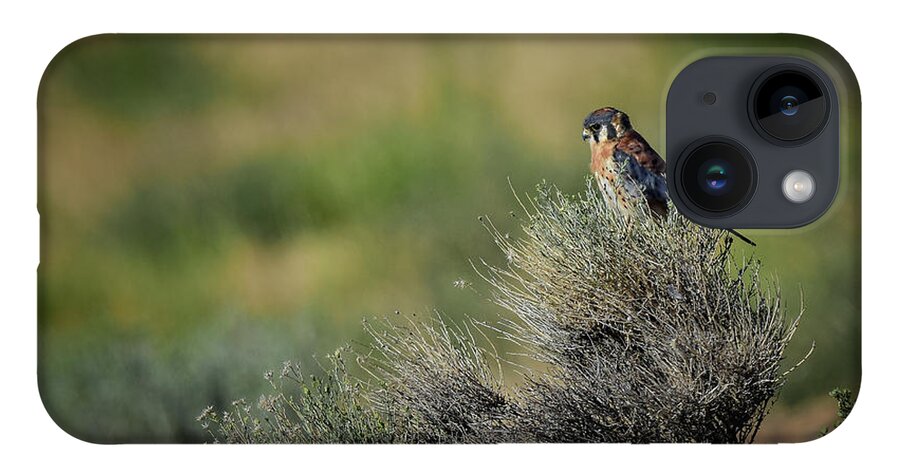 Kestrel iPhone 14 Case featuring the photograph American Kestrel 2 by Rick Mosher