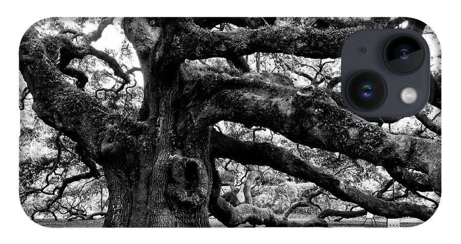 Nature iPhone 14 Case featuring the photograph Angel Oak Tree 2009 Black and White by Louis Dallara
