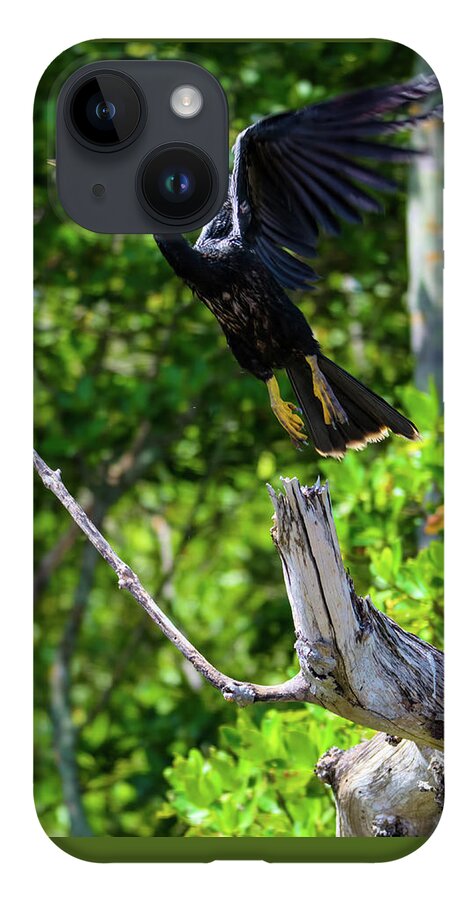 Anhinga iPhone 14 Case featuring the photograph Anhinga Launching Itself from a Dead Tree by Artful Imagery
