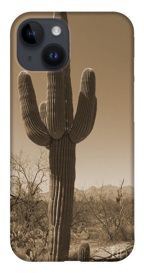 American iPhone 14 Case featuring the photograph Antique Sepia Saguaro Cactus by Karen Foley