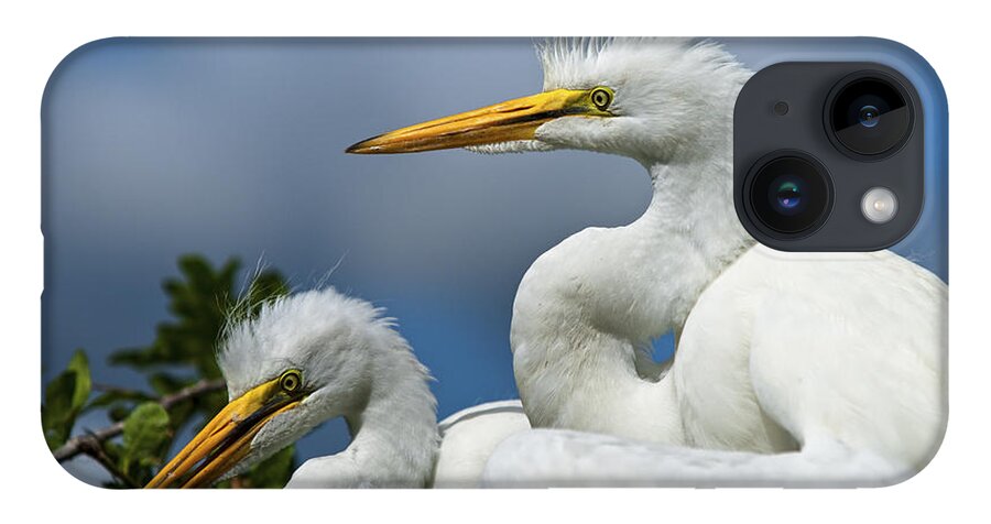 Egret iPhone 14 Case featuring the photograph Anxiously Waiting by Christopher Holmes