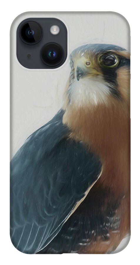 Birds iPhone 14 Case featuring the photograph Aplomado Falcon by Greg Waddell
