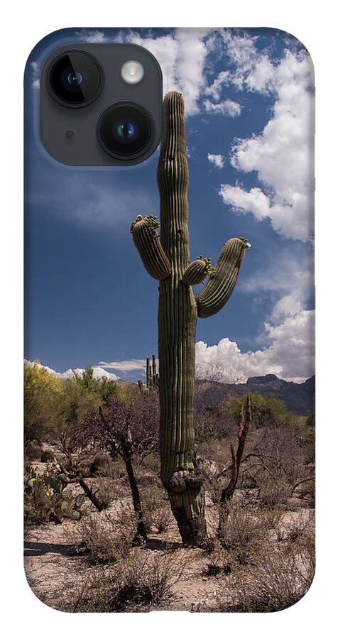 Arizona iPhone 14 Case featuring the photograph Arizona Cactus by David Palmer