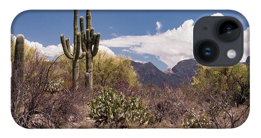 Arizona iPhone 14 Case featuring the photograph Arizona Desert by David Palmer