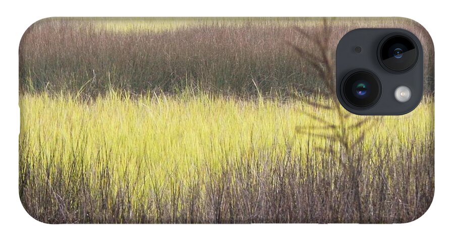 Marsh iPhone 14 Case featuring the photograph Art Of The Southern Marshland by Jan Gelders