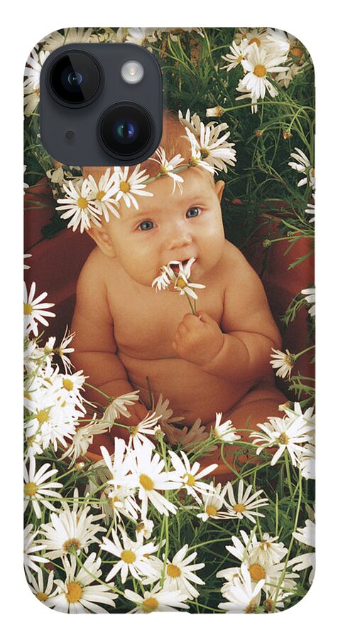 Daisies iPhone 14 Case featuring the photograph Daisies by Anne Geddes