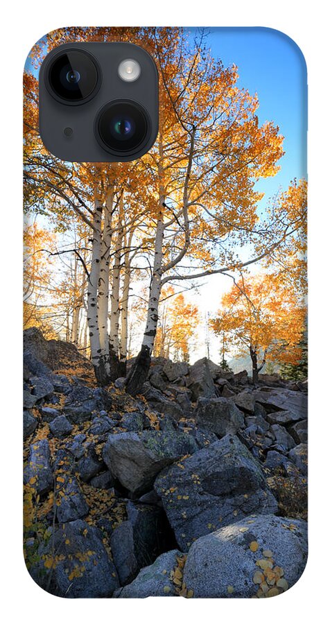 Landscape iPhone 14 Case featuring the photograph Aspen Glow by Brett Pelletier