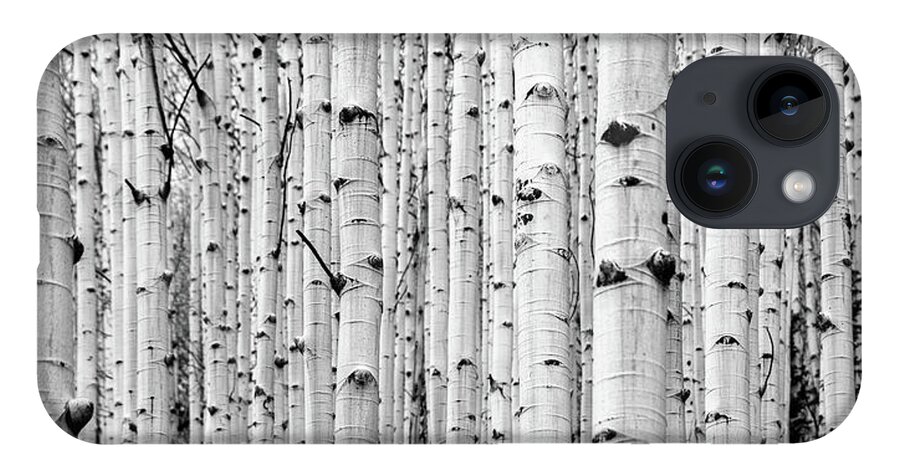 Aspen iPhone 14 Case featuring the photograph Aspen Grove by Stephen Holst