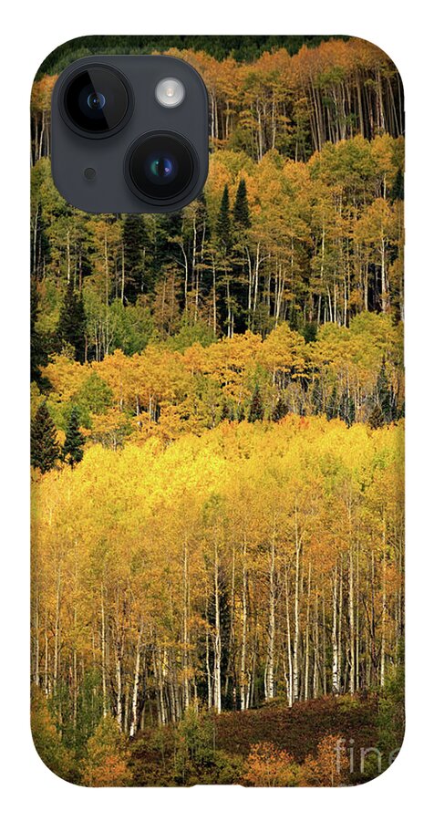 Colorado iPhone 14 Case featuring the photograph Aspen Groves by Doug Sturgess