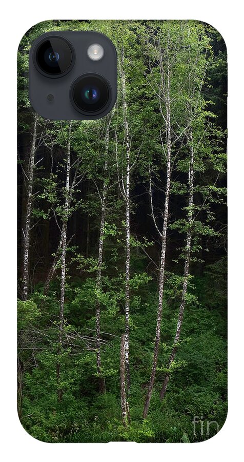 Landscape iPhone 14 Case featuring the photograph Aspen Outside Lincoln City, Oregon by Craig J Satterlee