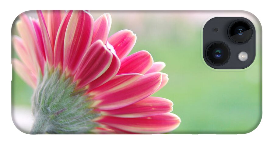 Flower iPhone 14 Case featuring the photograph Aspiring by Amy Fose