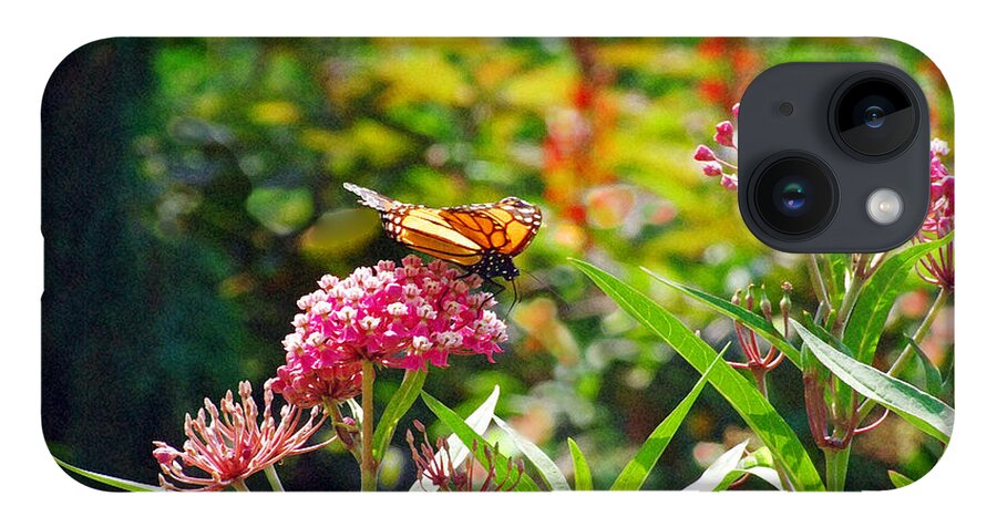 Monarch Butterfly iPhone 14 Case featuring the photograph August Monarch by Janis Senungetuk