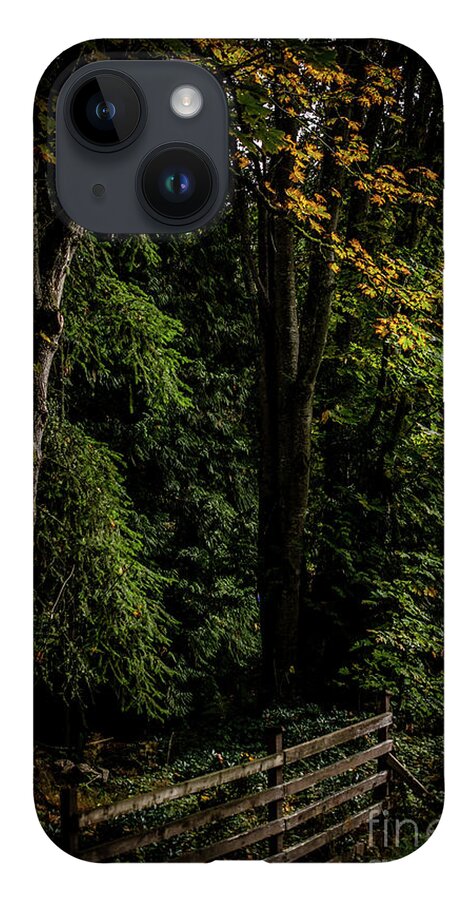 Autumn iPhone 14 Case featuring the photograph Autumn Fence by David Hillier