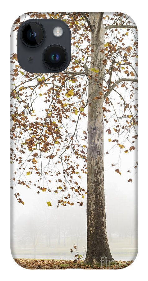 Autumn iPhone 14 Case featuring the photograph Autumn Fog by Tamara Becker