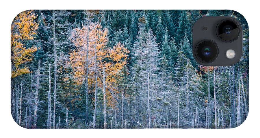 Autumn iPhone Case featuring the photograph Autumn Frost by Jeff Sinon