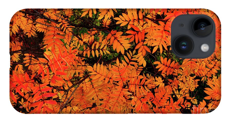  iPhone 14 Case featuring the digital art Autumn in Maple Creek by Darcy Dietrich