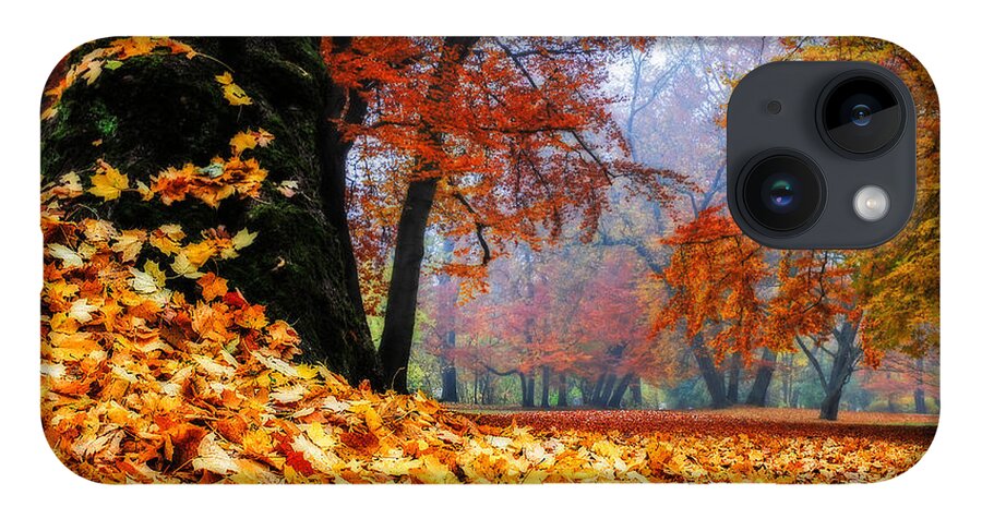 Autumn iPhone 14 Case featuring the photograph Autumn In The Woodland by Hannes Cmarits