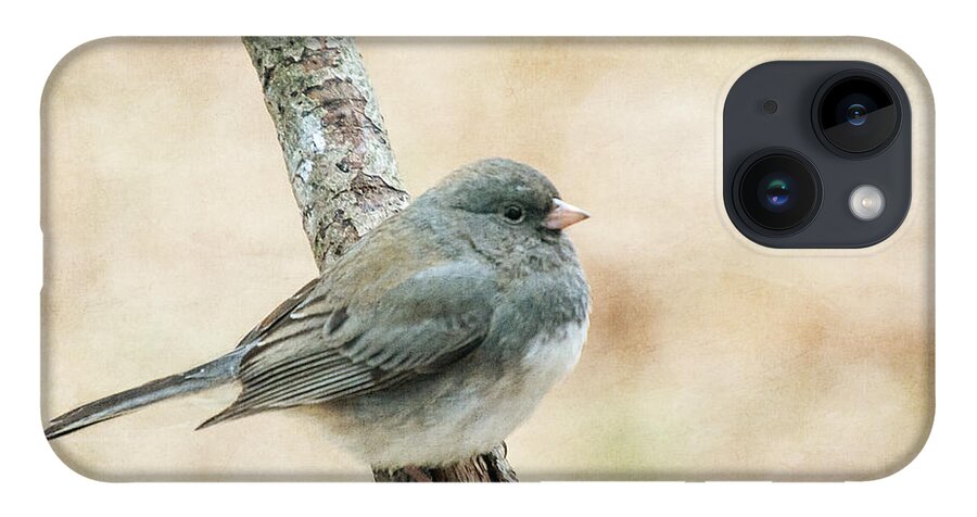 Bird iPhone Case featuring the photograph Autumn Junco by Cathy Kovarik