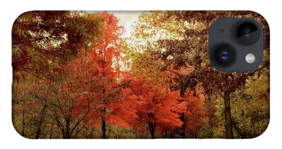 Autumn iPhone 14 Case featuring the photograph Autumn Maples by Jessica Jenney