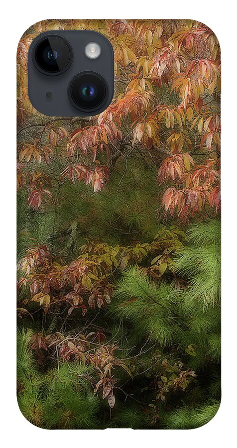 Leaves iPhone Case featuring the photograph Autumn Mixing by Mike Eingle