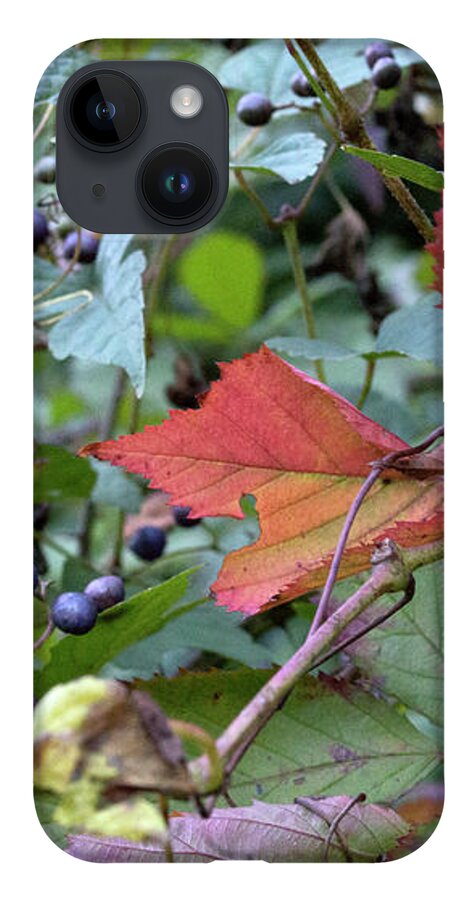 Berries iPhone Case featuring the photograph Autumn Purple Berries by Lisa Blake