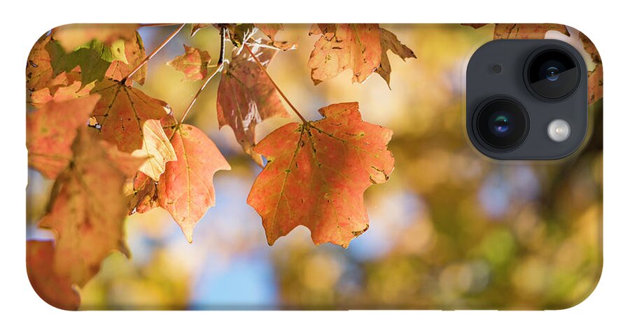 Autumn iPhone Case featuring the photograph Autumn Splendor by Holly Ross