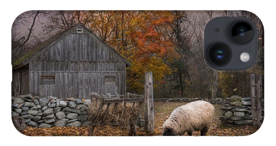Sheep iPhone 14 Case featuring the photograph Autumn Sweater by Robin-Lee Vieira
