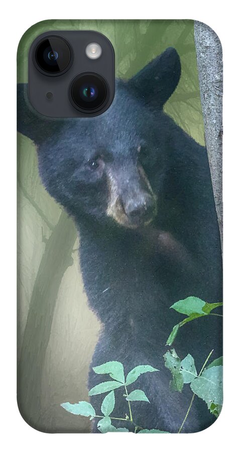 Bear iPhone 14 Case featuring the photograph Baby Bear Takes a Peek by John Haldane