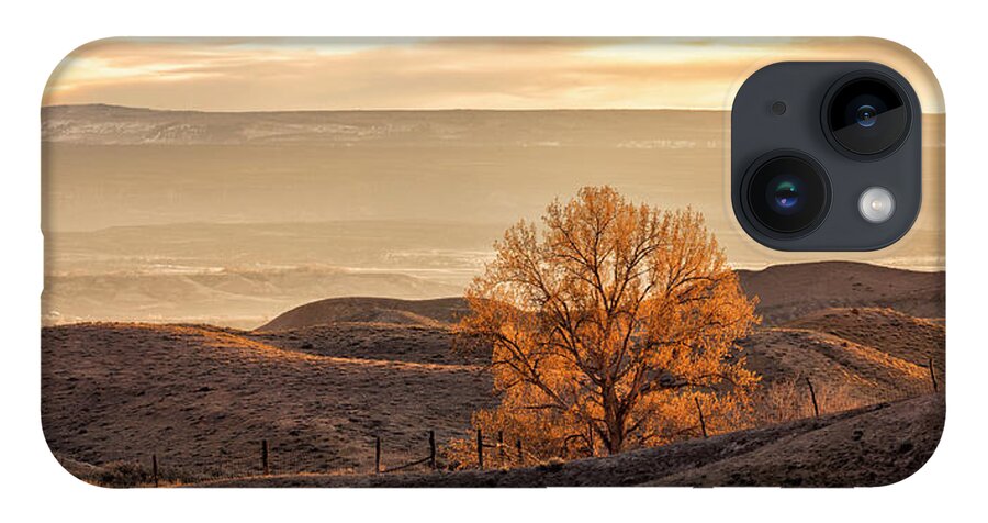 Tree iPhone 14 Case featuring the photograph Backlit Cottonwood by Denise Bush