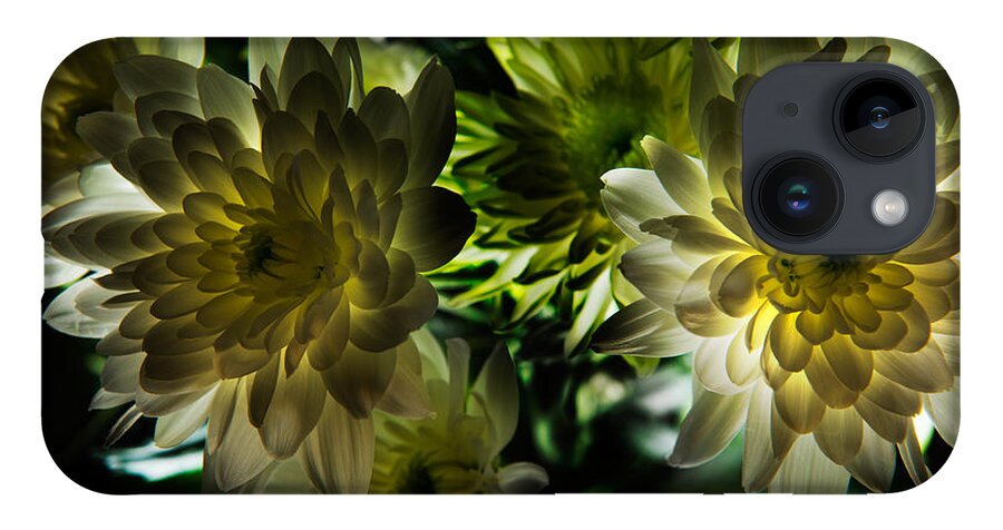 Bloom iPhone 14 Case featuring the photograph Backlit White Dahlia by Dennis Dame