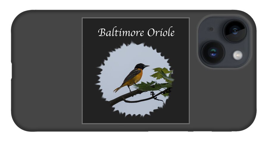 Baltimore Oriole iPhone Case featuring the photograph Baltimore Oriole by Holden The Moment