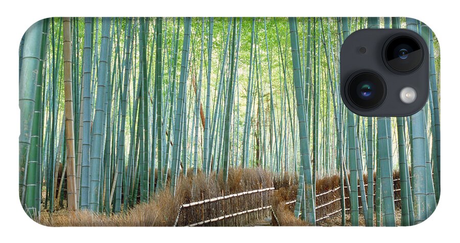 Photography iPhone 14 Case featuring the photograph Bamboo Forest, Kyoto City, Kyoto by Panoramic Images