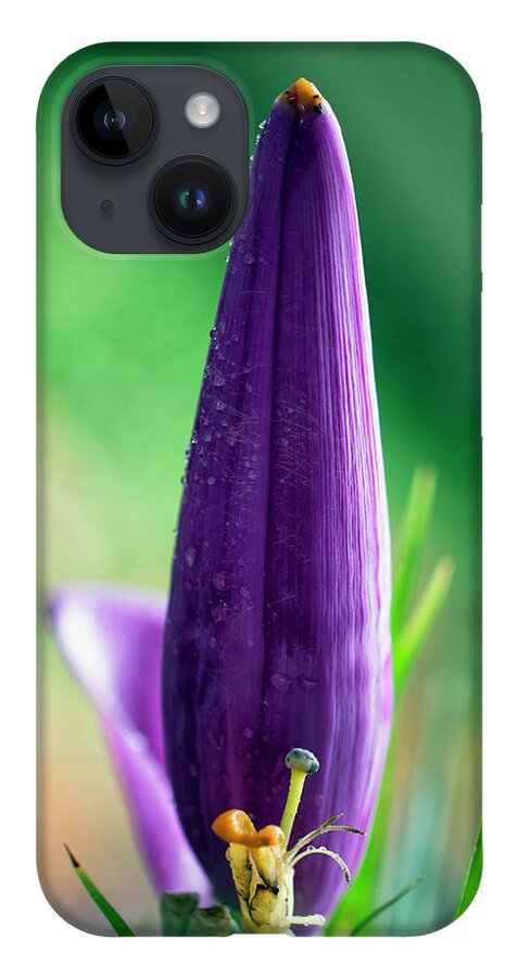 Granger Photography iPhone 14 Case featuring the photograph Banana Flower by Brad Granger