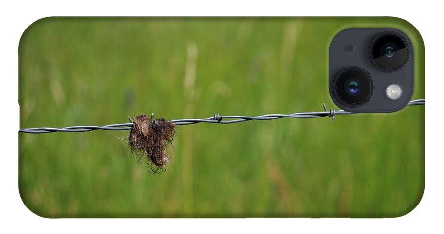 Barbed Wire iPhone 14 Case featuring the photograph Barbed Wire by Jim Goodman