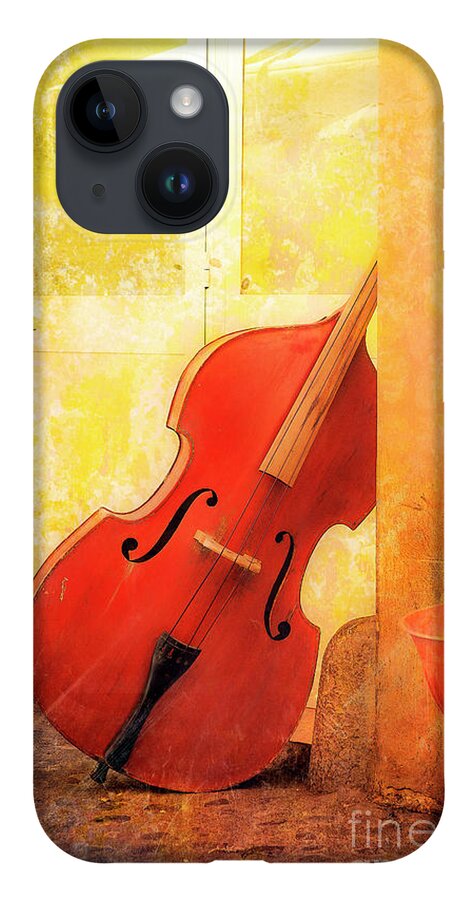 Forum iPhone 14 Case featuring the photograph Bass Violin by Craig J Satterlee