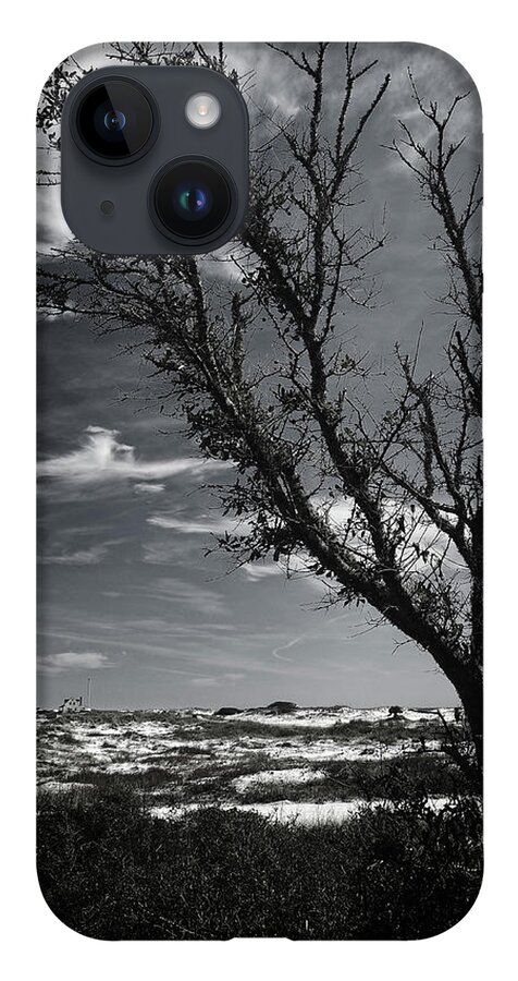 Sand iPhone Case featuring the photograph Beach Tree by George Taylor