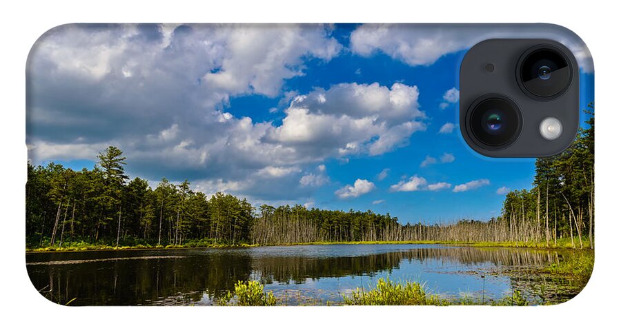 Landscape iPhone Case featuring the photograph Beautiful Afternoon in the Pine Lands by Louis Dallara