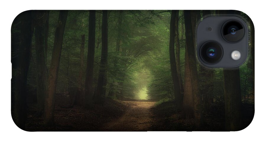 Autumn iPhone 14 Case featuring the photograph Beautiful morning in Speulderbos forest by Tim Abeln